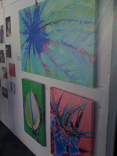 colin gilliam picture