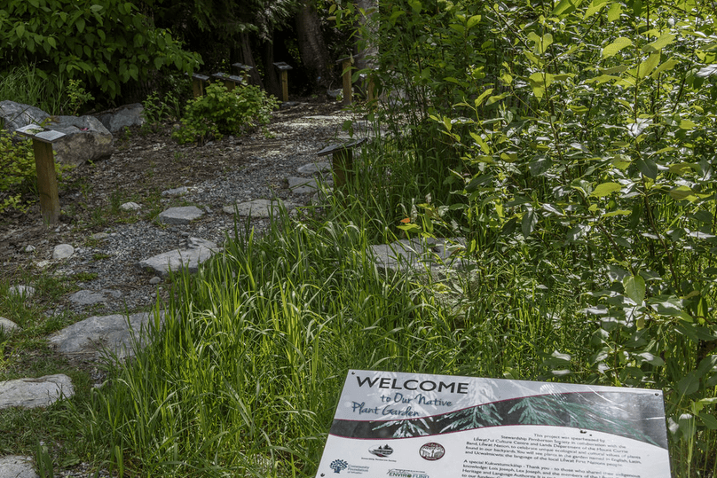 Screen shot 2016-05-21 at 12.44.03 PM