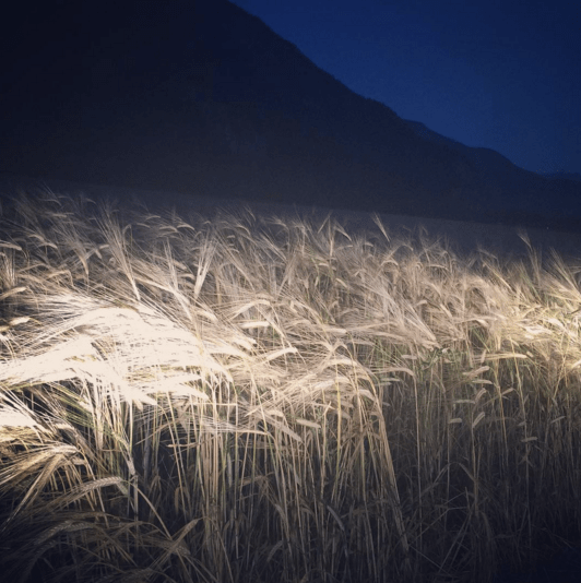 Screen Shot 2016-08-18 at 11.22.43 PM