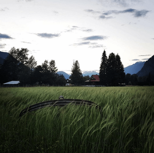 Screen Shot 2016-08-18 at 11.22.58 PM