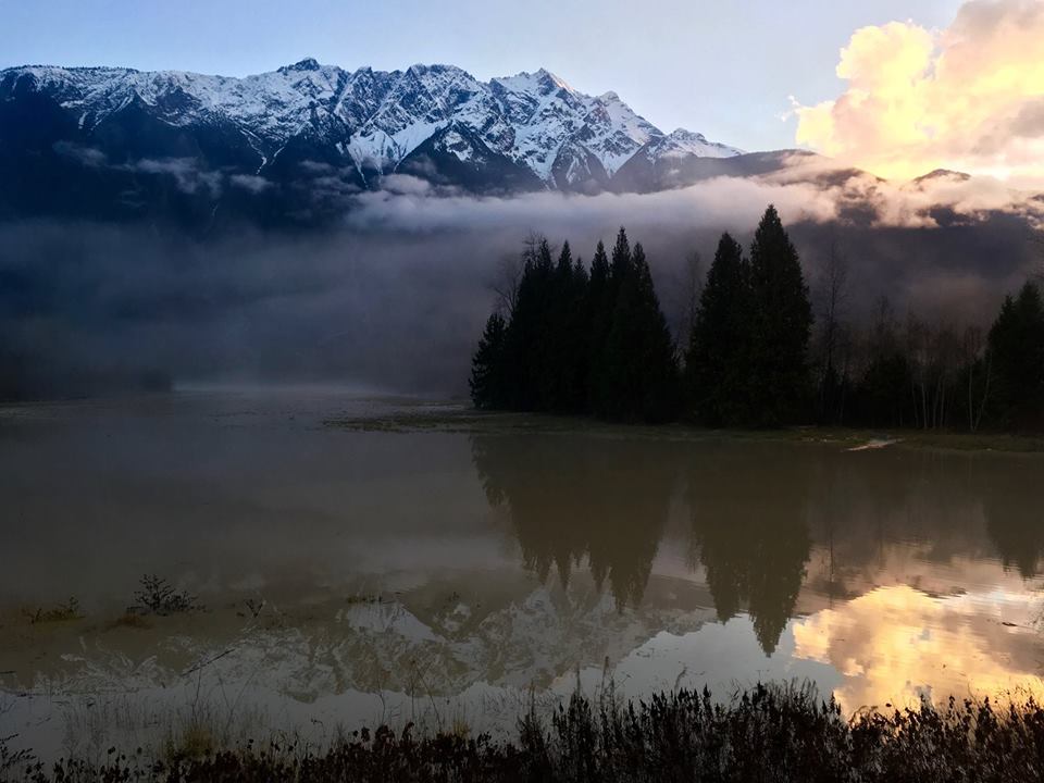 14993521_1317227254996118_6043662454193464276_n