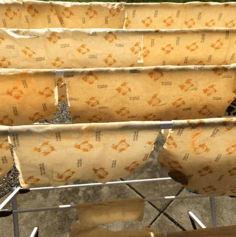 Screen Shot 2017-05-27 at 12.48.04 PM