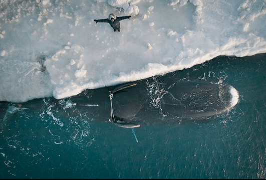 kiliii votes for hope