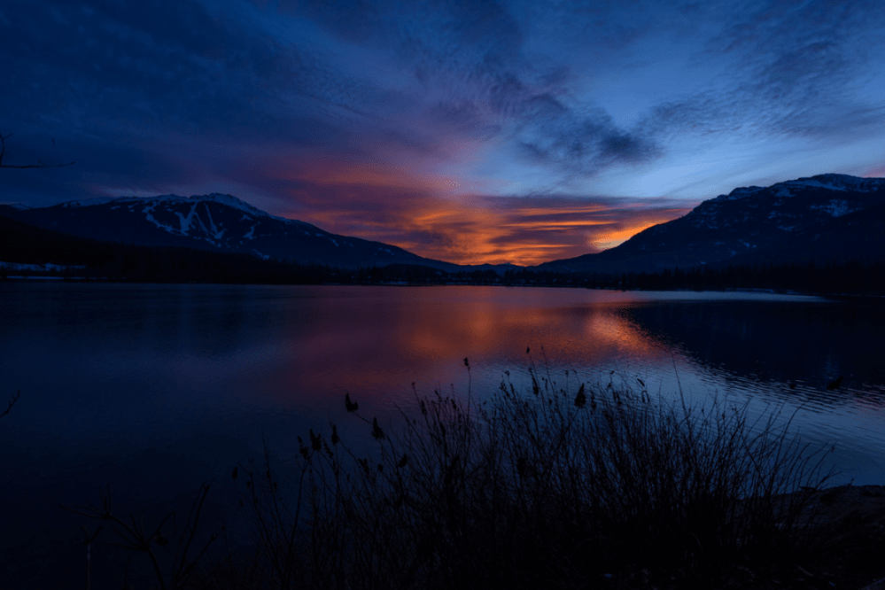 Dave Steers Metaphor sunset of a career with WB