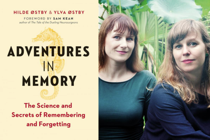 Adventures in memory