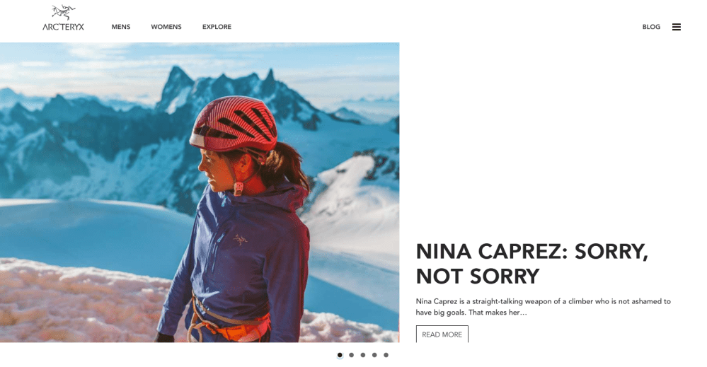 Sorry not sorry banner