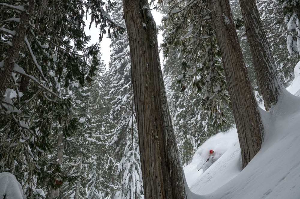 Photographs from around the Monashees and Incomappleux with Leah Evans