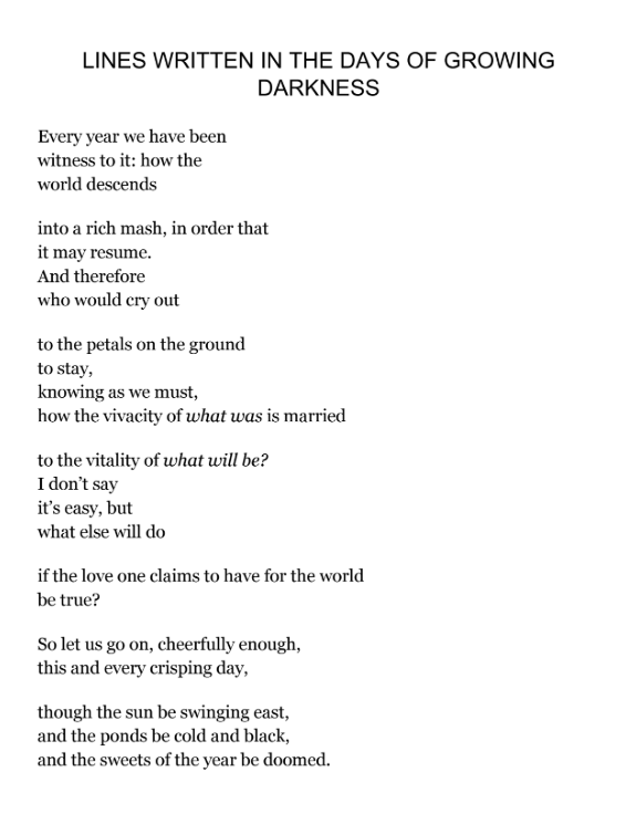 Mary Oliver Lines Written in the Days of Growing Darkness