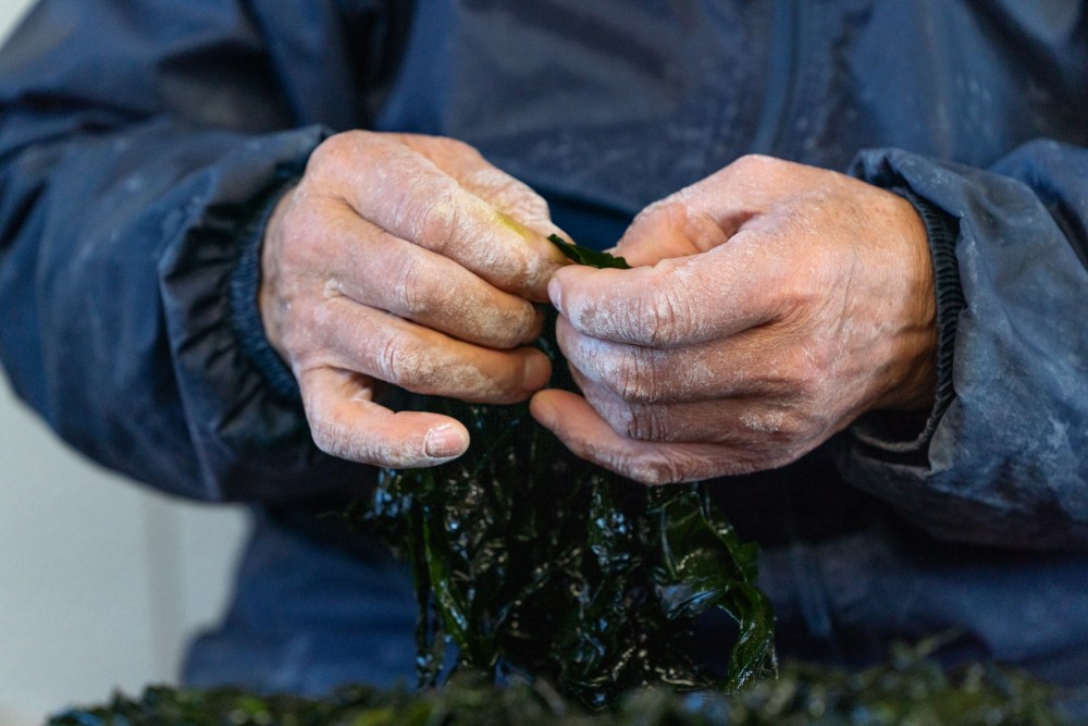 190415_HomeForAll_Japan_06153shrp